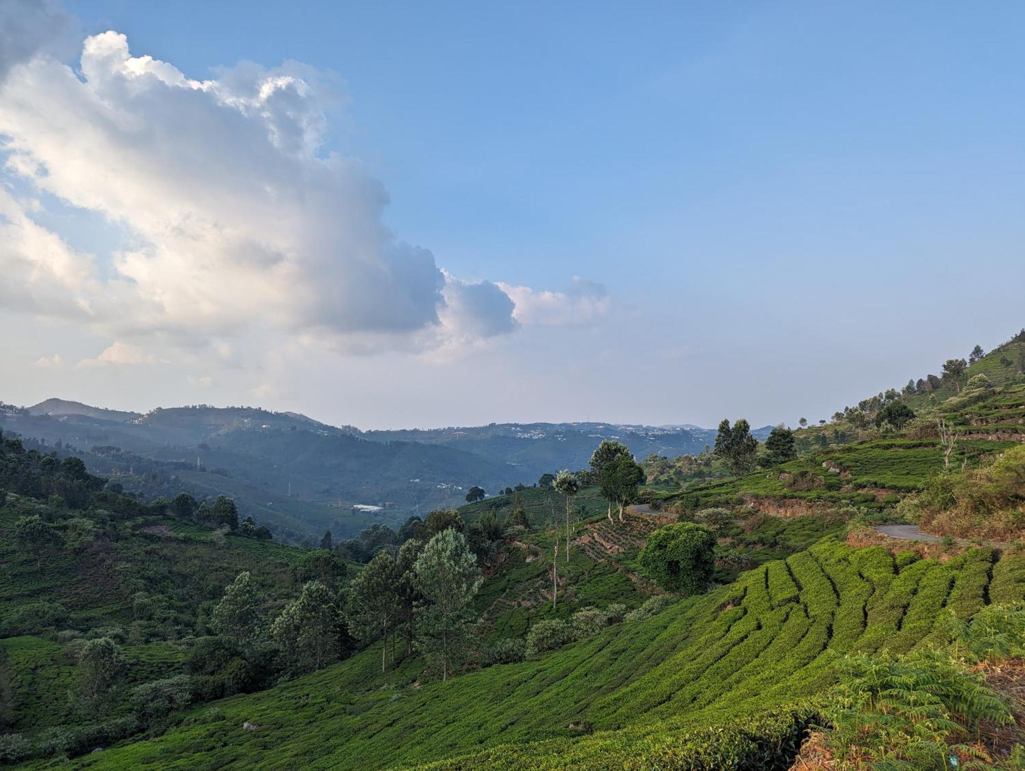 Ghar Homestay, Котагири Экстерьер фото