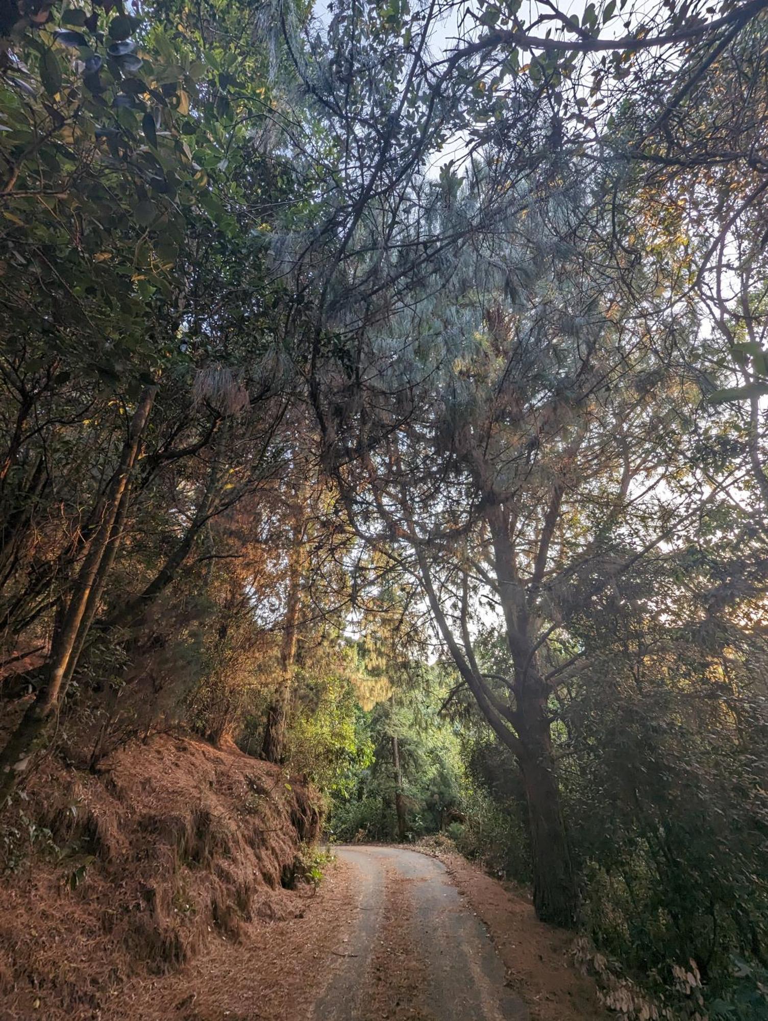 Ghar Homestay, Котагири Экстерьер фото