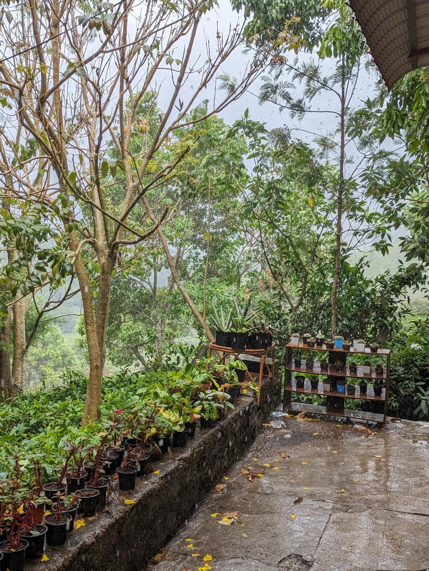 Ghar Homestay, Котагири Экстерьер фото