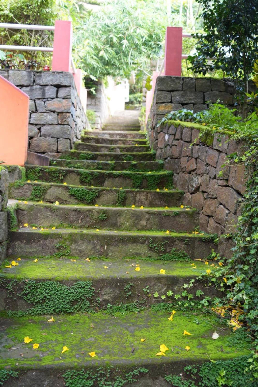 Ghar Homestay, Котагири Экстерьер фото